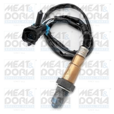 Oxygen Sensor